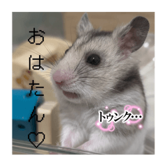 riorio_20260201054742