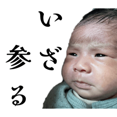 Haruka_20260201102128