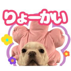 kanon_20260201123339