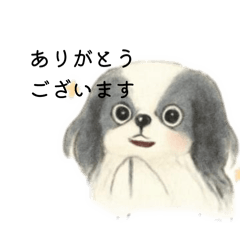 Hirahira_20260201123819