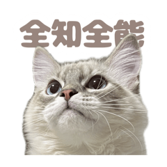 harun_20260201133119