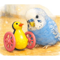 Chie.U_20260201133120