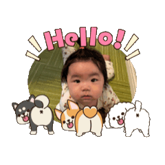 mememo_20260201190744