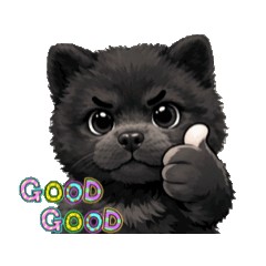 kou11_20260201231427