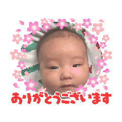 family-k_20260202091000