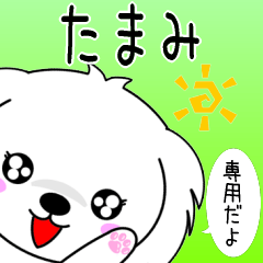 ♦️たまみ専用♦️使える名前スタンプ