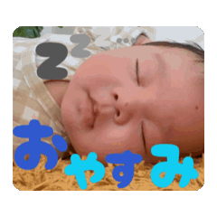 inasako_20260202090435