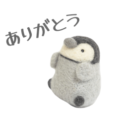 syoya_20260129195721