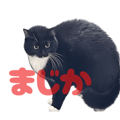 junna_20260201092032