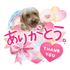 yukonotarako_20260130233829