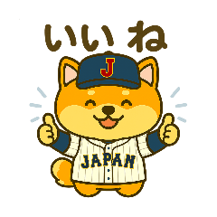 shibatan_20260201092126