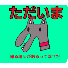 INUKICHI_20260201094110