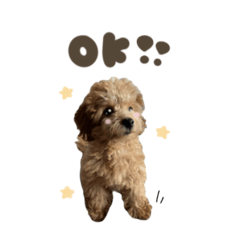 るるちゃん.スタンダード