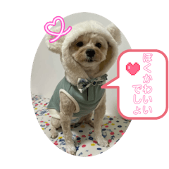 March_20260201141129