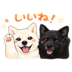 Yukari_20260201141409