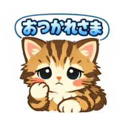 hiitan_20260201193820