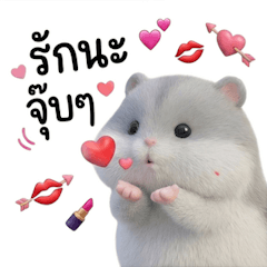 แฮมสเตอร์น้อย หัวใจนุ่มนิ่ม