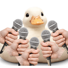 เป็ดใช้มือพูด