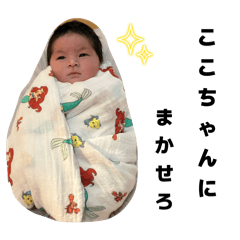 schan_20260201095026