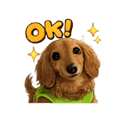 Raika_20260201170121