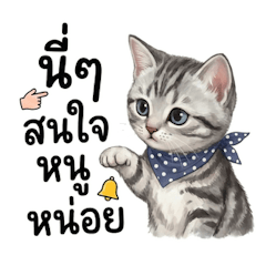 อเมริกัน ชอร์ตแฮร์, หัวใจนุ่มนิ่ม