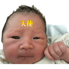 baby gyucha