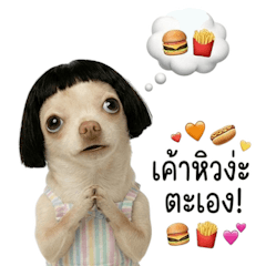 ชิวาว่าหน้าแบ๊ว, หัวใจนุ่มนิ่ม (BGZ)