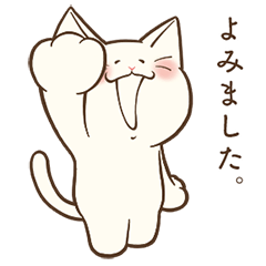 Shiratama the white cat