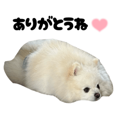 yuuka_20260201074641