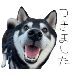 Hideyoshi_20260201110215