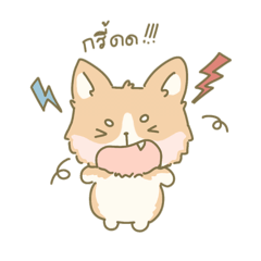 Jirapha_20260201125954