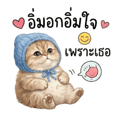 บริติช ชอร์ตแฮร์, หัวใจนุ่มนิ่ม