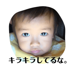 miya_toshi_20260201210247