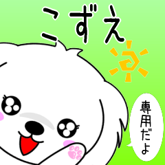 ♦️こずえ専用♦️使える名前スタンプ