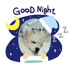 monaka_20260201113107