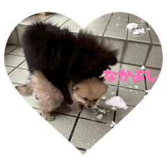 YUKA_20260201113100