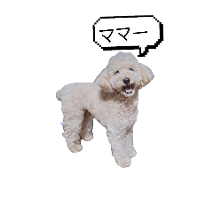 makoto_20260201112713