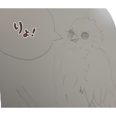 otaka_20260201113134