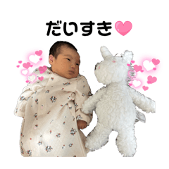 goldcastle_20260201215031