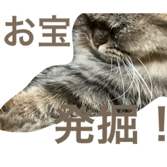 Toukibinn_20260201215227