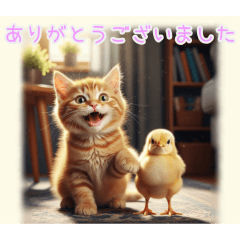 PAKAMOGOLY_20260201215058