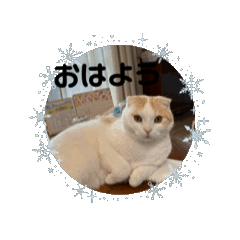 michiko_20260130145352