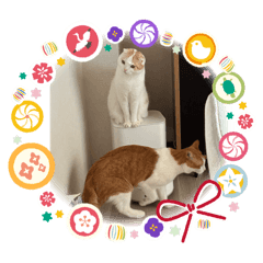 michiko_20260130145856