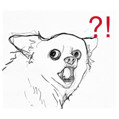 橋本もくのイヌたち1