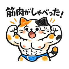 konan_20260130161619