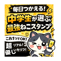 中学生の本音 ハチワレ猫（ヒミツ/OK）