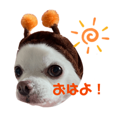 AKARI_20260201123103