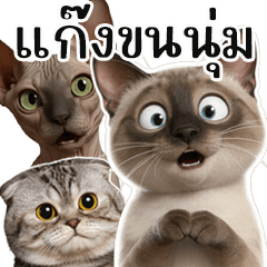 The Fluffy, Affectionate Gang Set 1