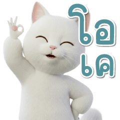 Cat, work, office, feline, white cat