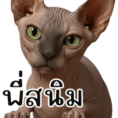 Pet Ideas: Rust Part 1.